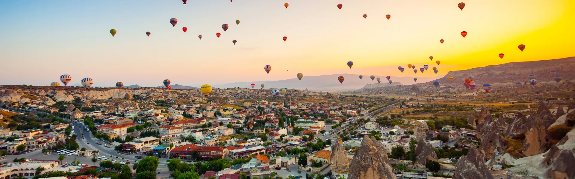 turkey