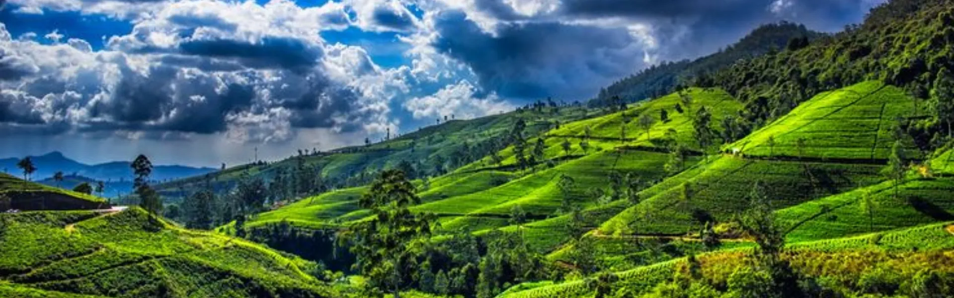 sri lanka