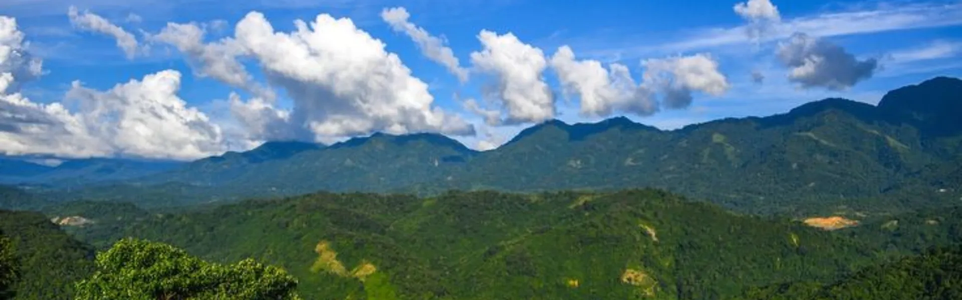 assam