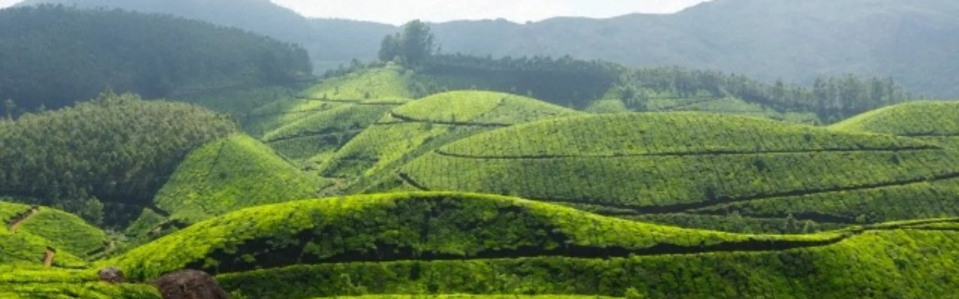 sikkim