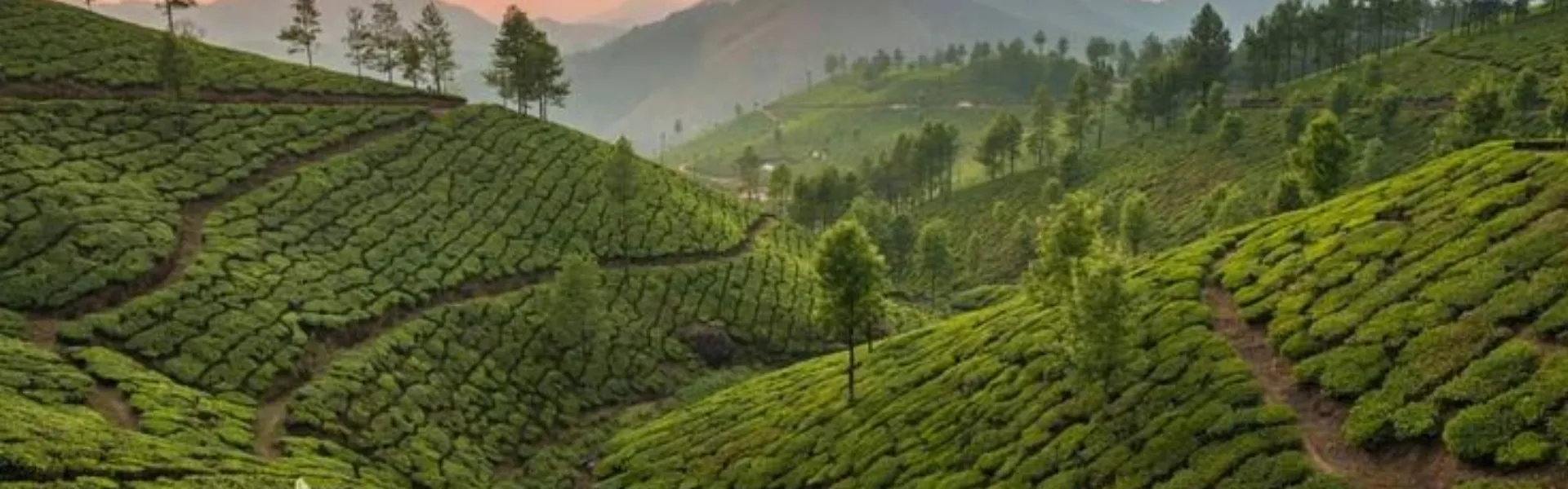kerala